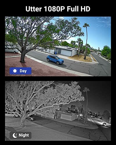 Day and night view from 1080P security camera showcasing street and trees.